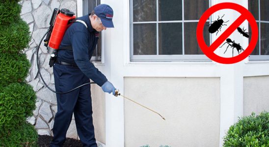 Hocalar Dezenfeksiyon böcek ilaçlama ve haşere kontrolü — ilaclama-tr.com